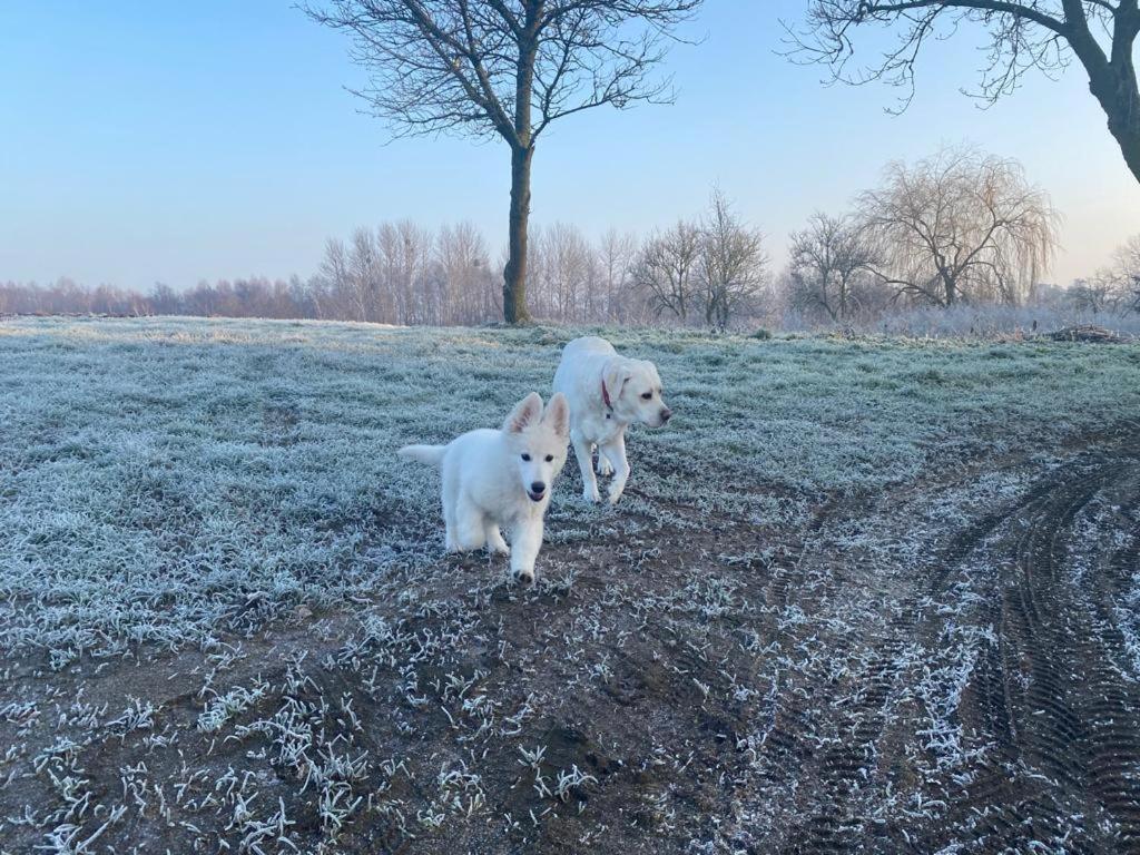 Dom Goscinny Lerka - 240 M2 Mazury Jeziora Lasy Lakorz Bagian luar foto