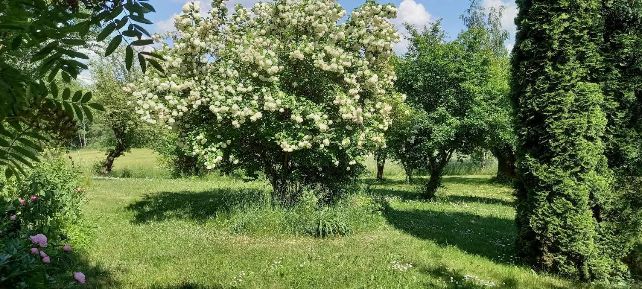 Dom Goscinny Lerka - 240 M2 Mazury Jeziora Lasy Lakorz Bagian luar foto