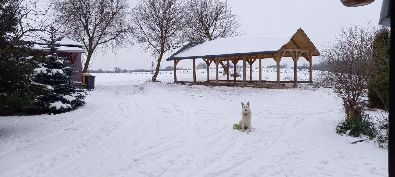 Dom Goscinny Lerka - 240 M2 Mazury Jeziora Lasy Lakorz Bagian luar foto
