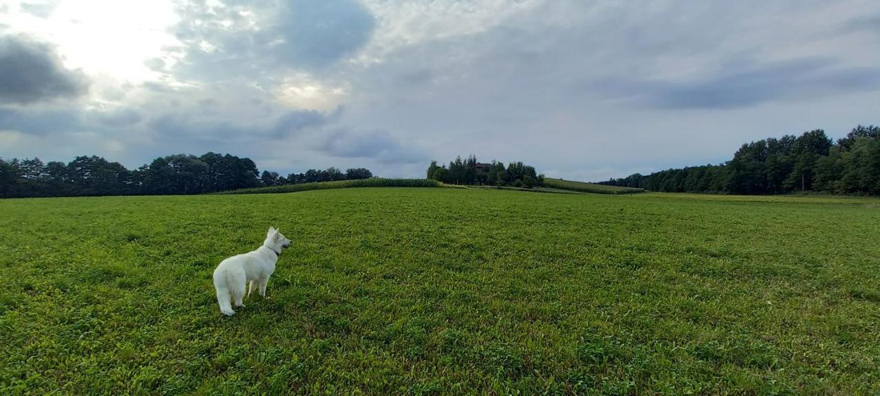 Dom Goscinny Lerka - 240 M2 Mazury Jeziora Lasy Lakorz Bagian luar foto