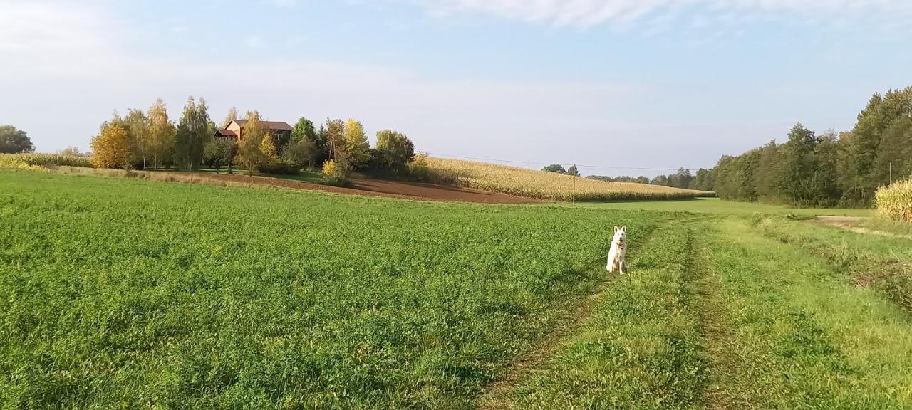 Dom Goscinny Lerka - 240 M2 Mazury Jeziora Lasy Lakorz Bagian luar foto
