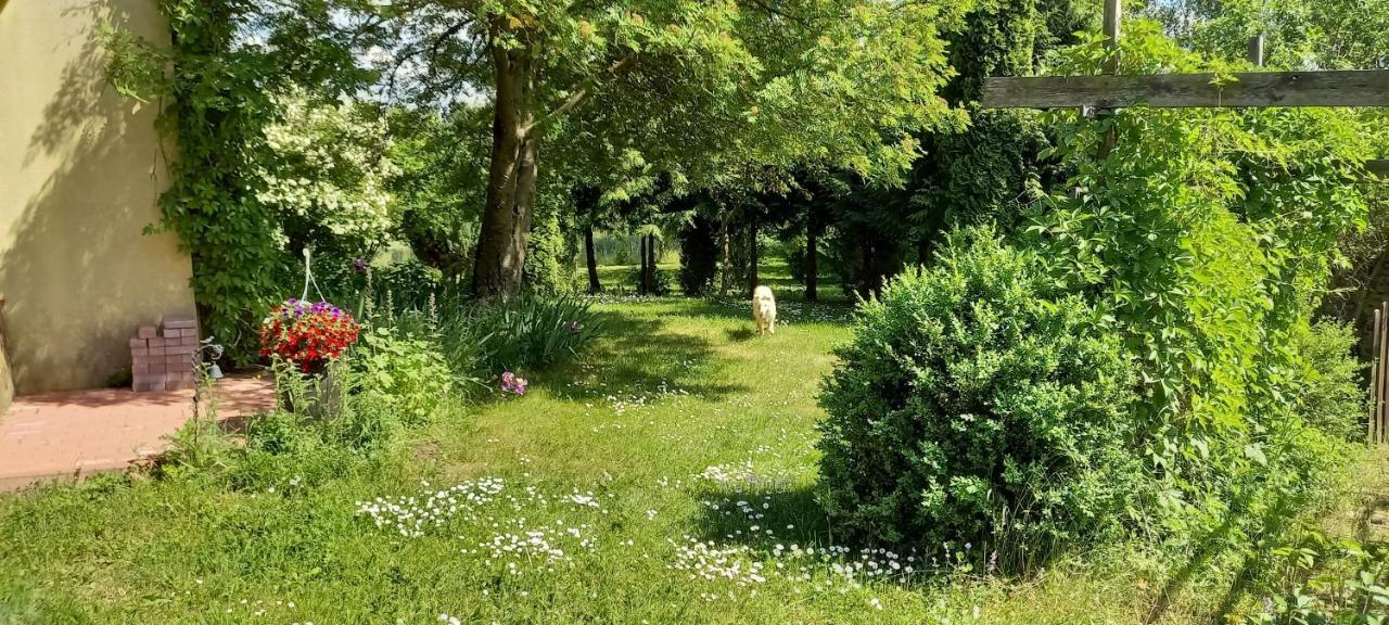 Dom Goscinny Lerka - 240 M2 Mazury Jeziora Lasy Lakorz Bagian luar foto