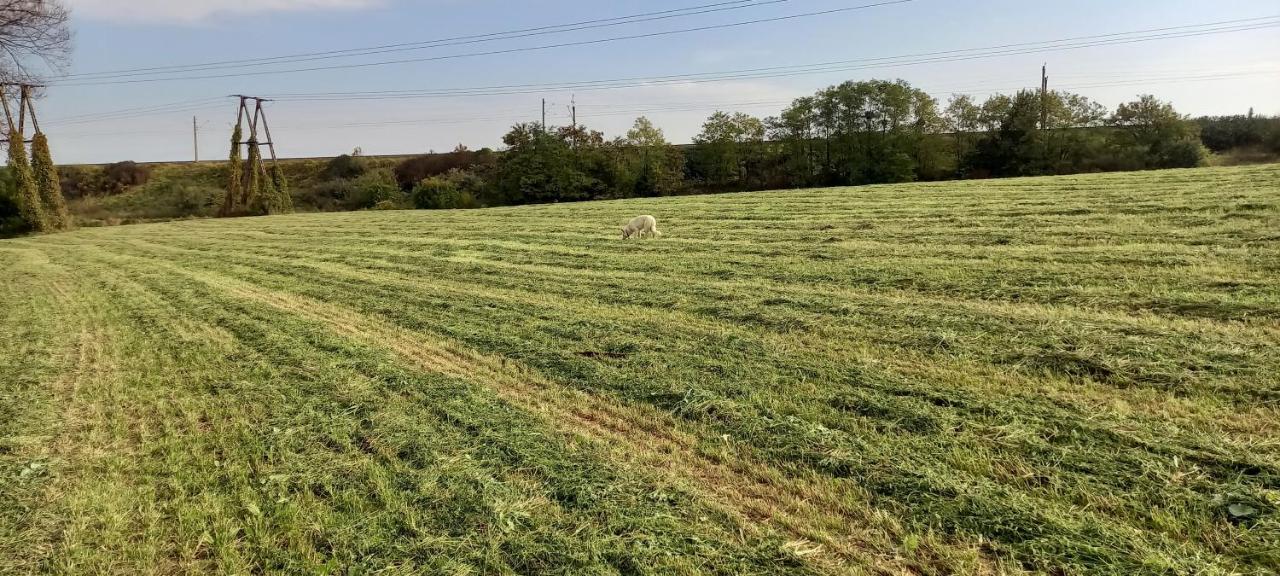 Dom Goscinny Lerka - 240 M2 Mazury Jeziora Lasy Lakorz Bagian luar foto